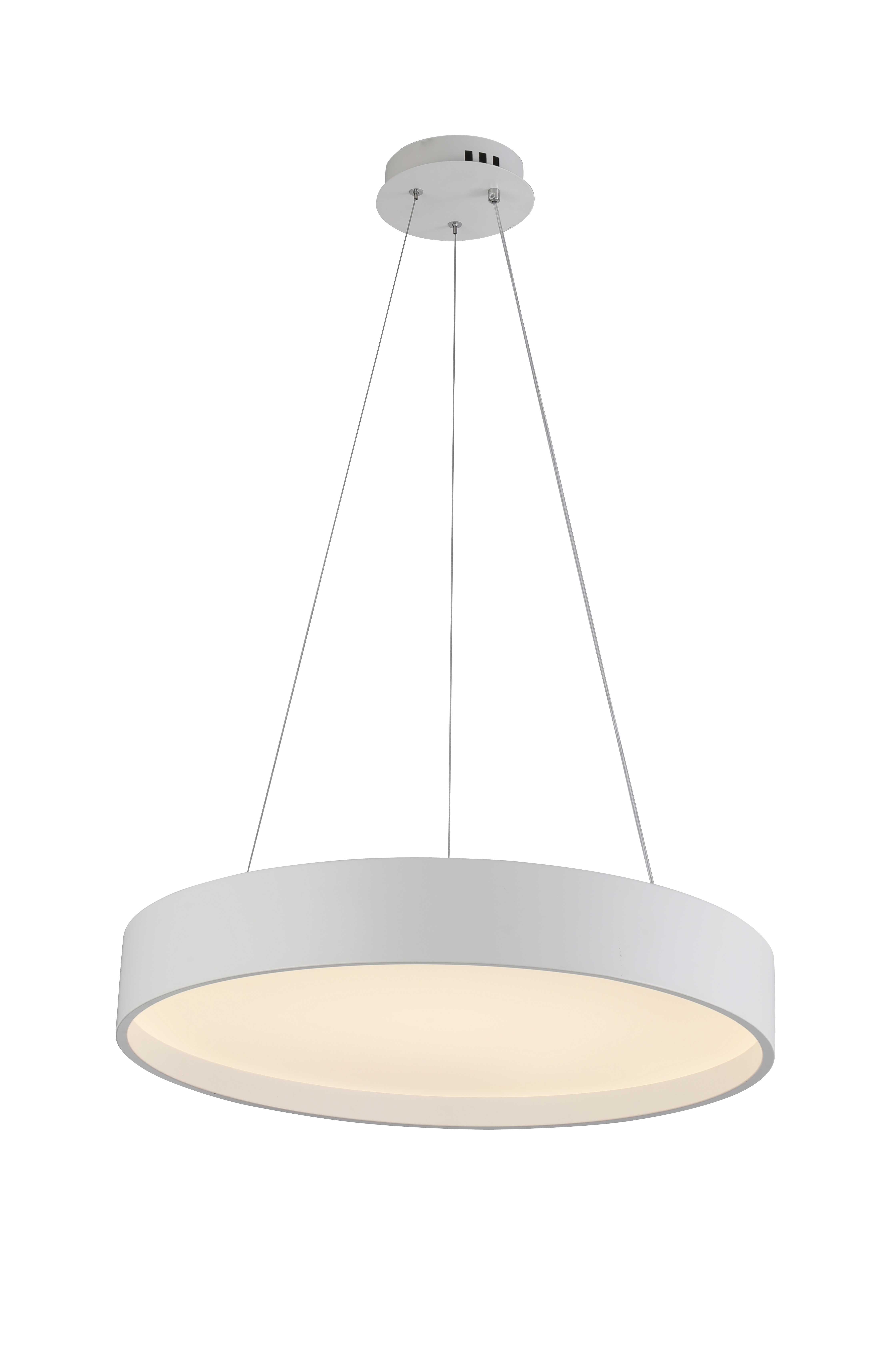2541/600P WHITE (1) Подвесной светильник (RL)