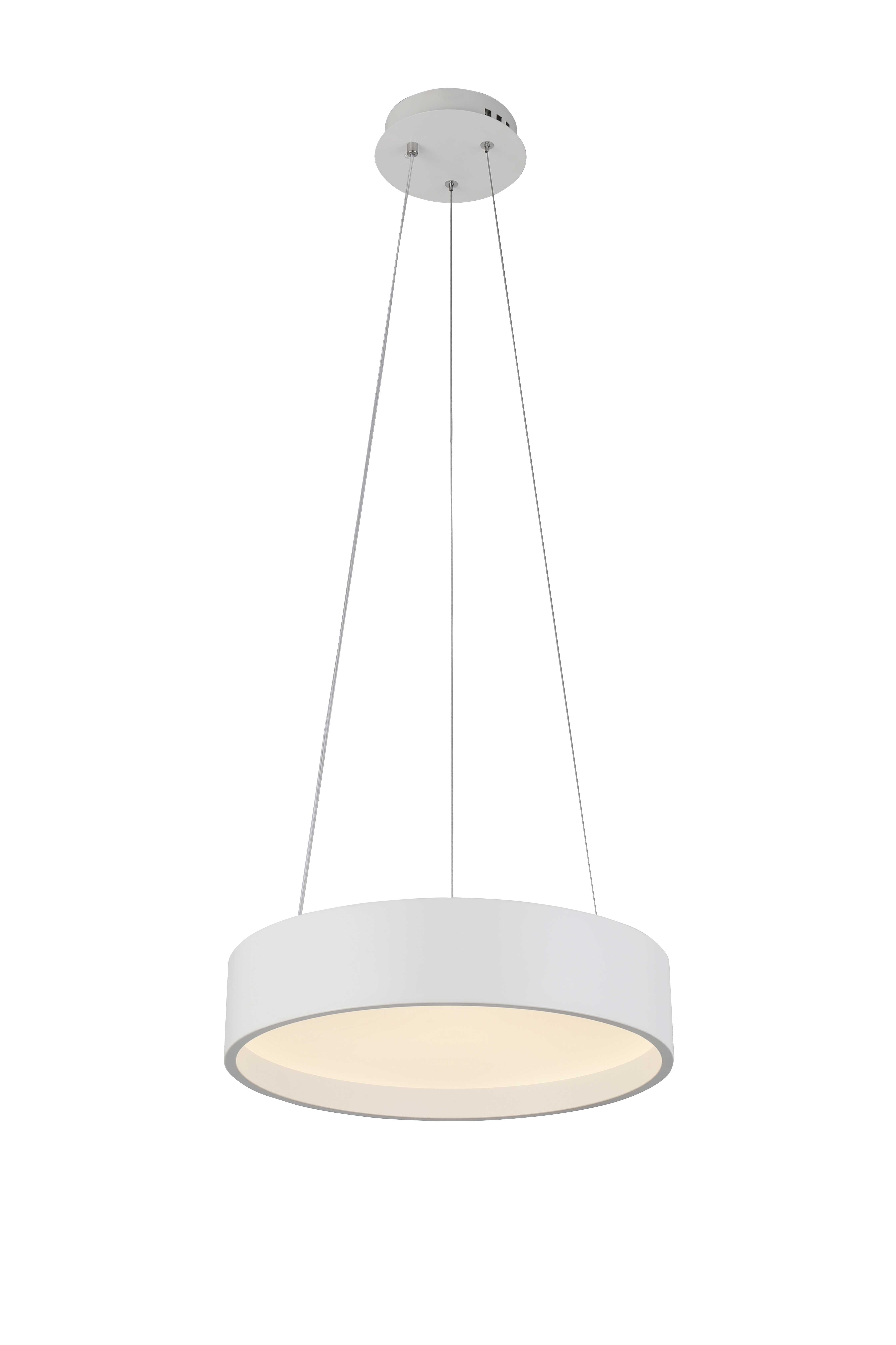 2541/400P WHITE (1) Подвесной светильник (RL)