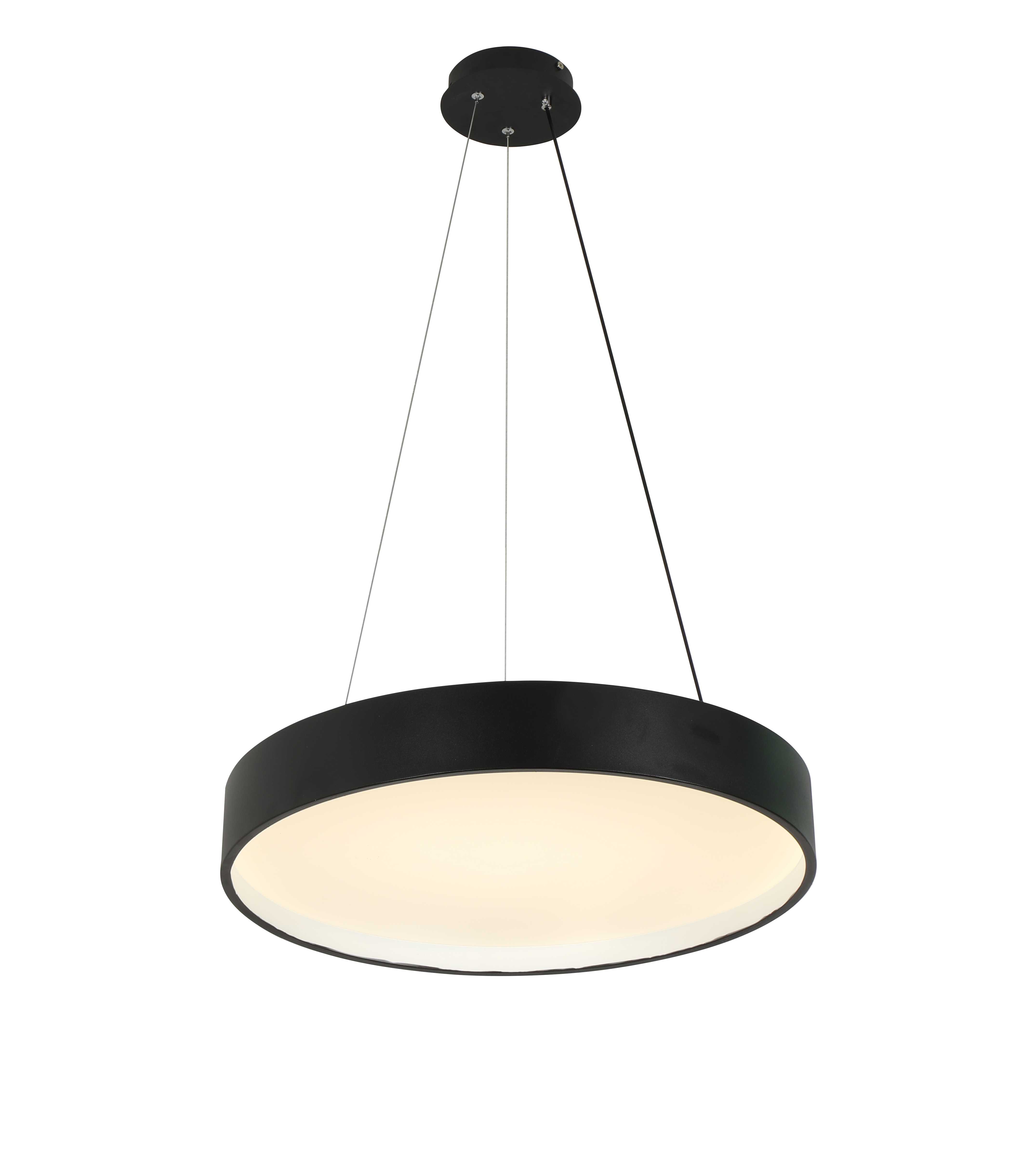2541/400P BLACK (1) Подвесной светильник (RL)